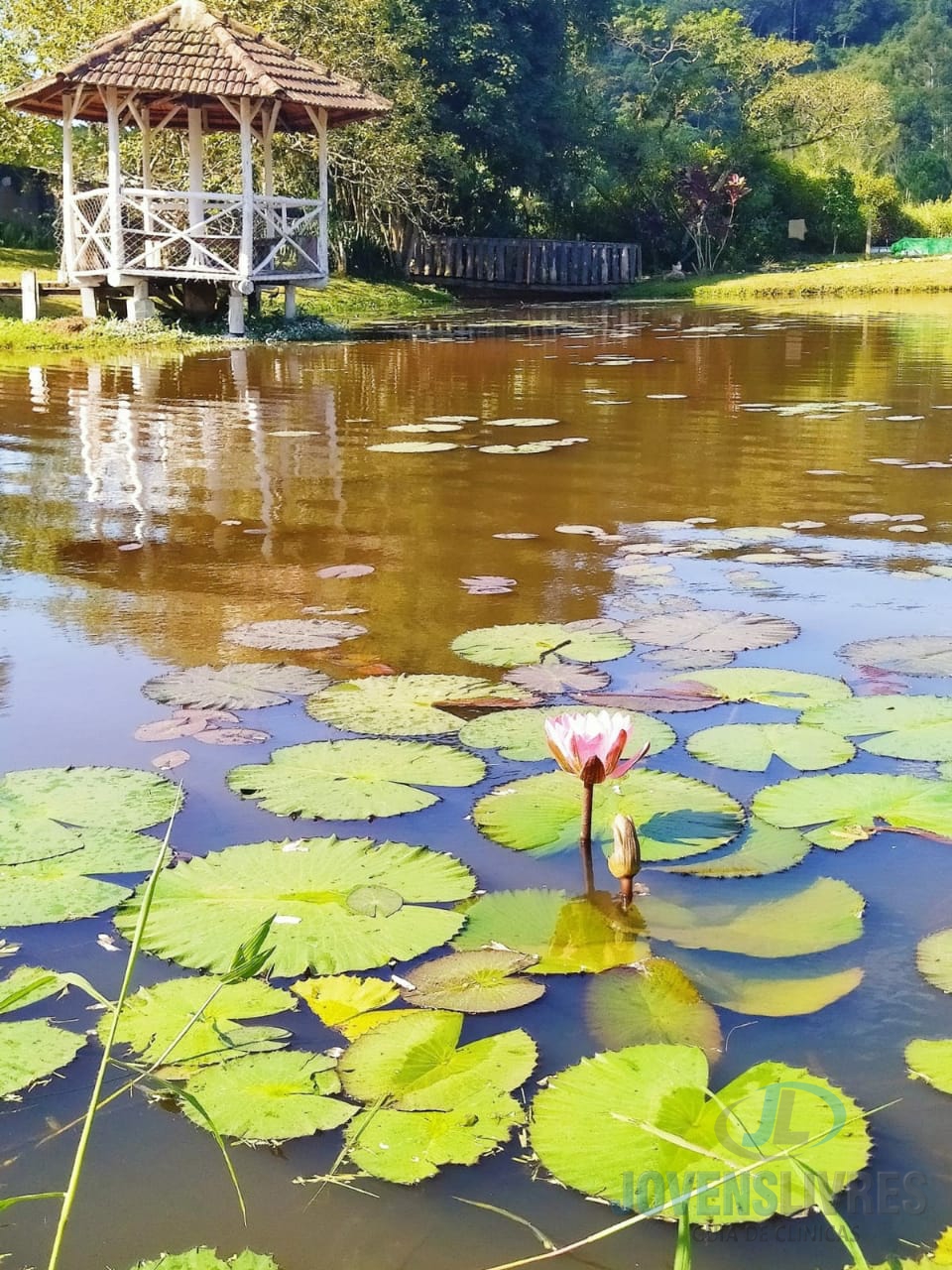 Clínica em Balneário Camboriú Acácias Garden